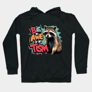 Be In Awe Of My Tism, Raccoon Graffiti Desain Hoodie